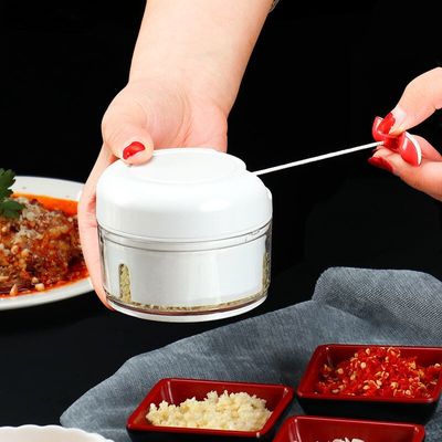 Manual Garlic Mini Crusher