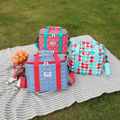 Insulated bag for picnic