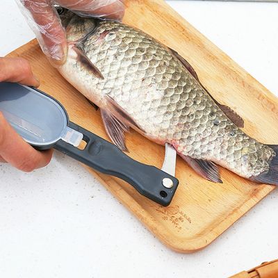PÊCHE