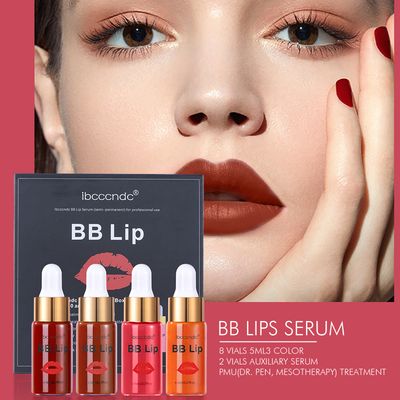 Color Pigment Tattoo Practice Ink Set Semi Permanent Makeup Lip Gloss Kit