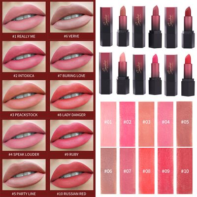 10 Colors Matte Long-Lasting Sexy Lipstick