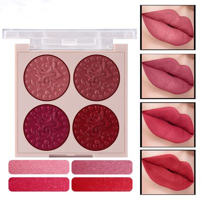 Lipstick Palette 4 Color Waterproof Long Lasting Lip Pigment