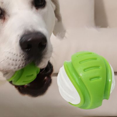 Dog Toy Ball Pet Puppy Chew Toys