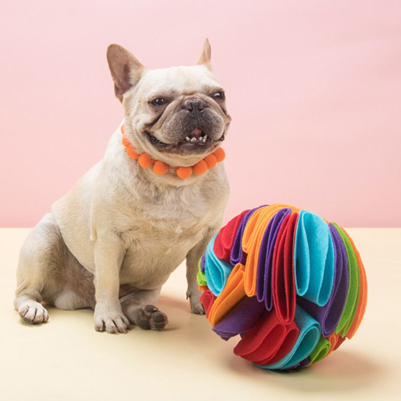 Dog Sniffing Ball Puzzle Toy Training Games Intelligence Toy