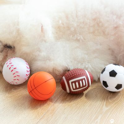 Pet Dog Football Basketball Chew Ball Toys