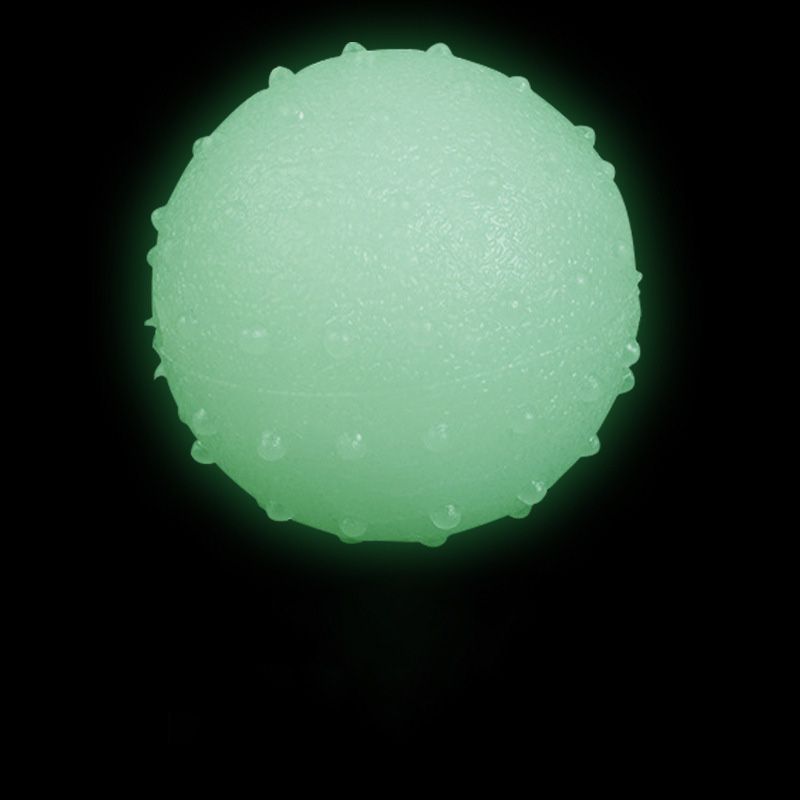 Funny Dog Puppy TPR Rubber Luminous Ball Tooth Cleaning Chew Toy