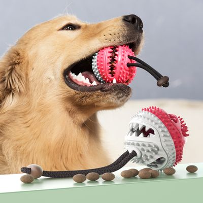 Pet Dog Chewing Toys Teeth Cleaning Toys