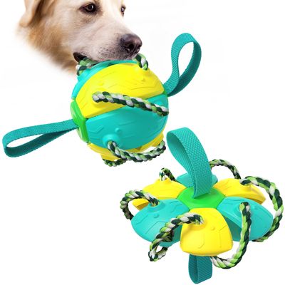 Dog Toys Bite Resistant Outdoor Training Toy