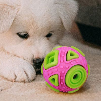 Sounding Molar Dog Toy Bite-resistant Ball Chew Toy