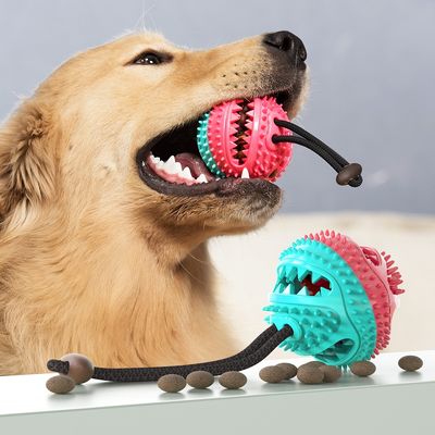 Non-Toxic Rubber Ball Food Dispensing Toys Cleaning Tooth Dog Chew Pet Toys