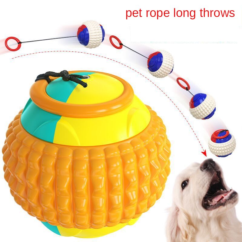 Dogs Train Teeth To Be Resistant To Gnawing Golfers Toss Elastic Toy Balls