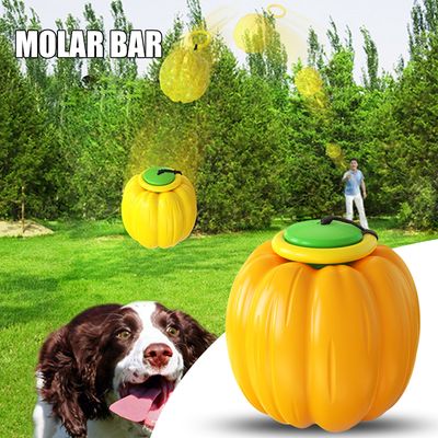 Dog Chew Toys Pumpkin Throwing Balls with Retractable Rope Molar Toothbrush