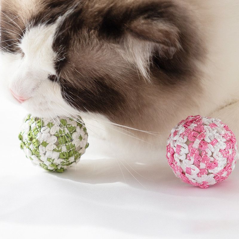 Pet Cat Lace Interactive Ball Toys