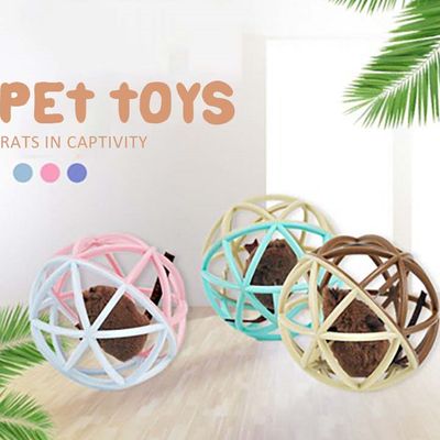 Cute Cat Mouse Cage Plastic Chasing Toys