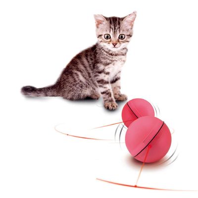 JOUETS DE BALLE POUR CHAT