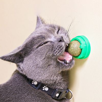 Snack Self-Adhesive Rotated Catnip Ball  Molar Teething Ball Toy