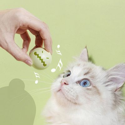Cat Bell Ball Catnip Toys