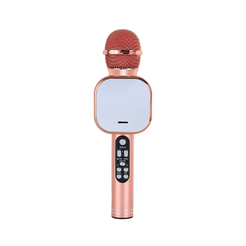Rechargeable Life Microphone Professional Karaoke Wireless Microphone
