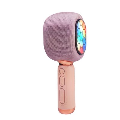 Karaoke Microphone Professional Studio Microphone Stage Performance Microphone