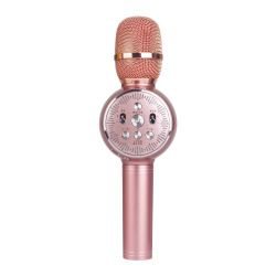 Professional Wireless USB Microphone Speaker Bluetooth Speaker With Microphone