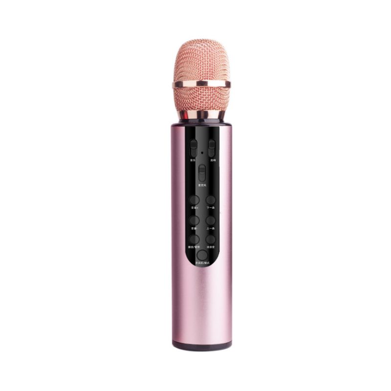 Portable Wireless Microphone With Loud HIFI Speaker For Activity Party Speaking