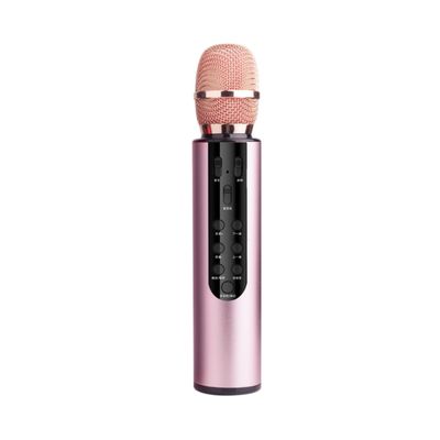 Portable Wireless Microphone With Loud HIFI Speaker For Activity Party Speaking