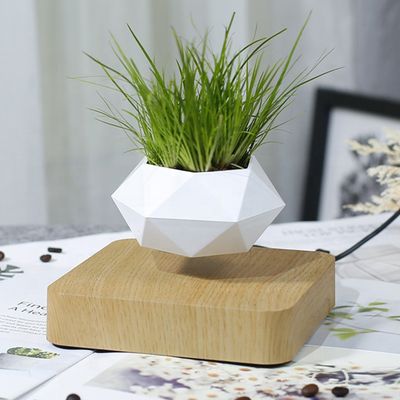 Floating Geometric Magnetic Levitating Flower Pot Home Decor