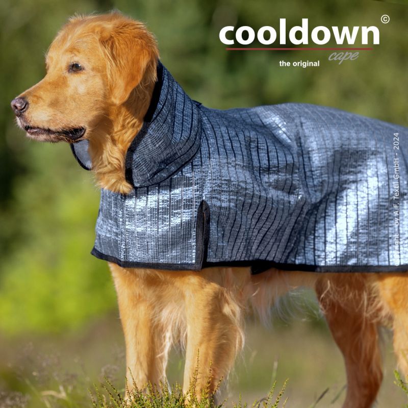 Actionfactory cooldown cape