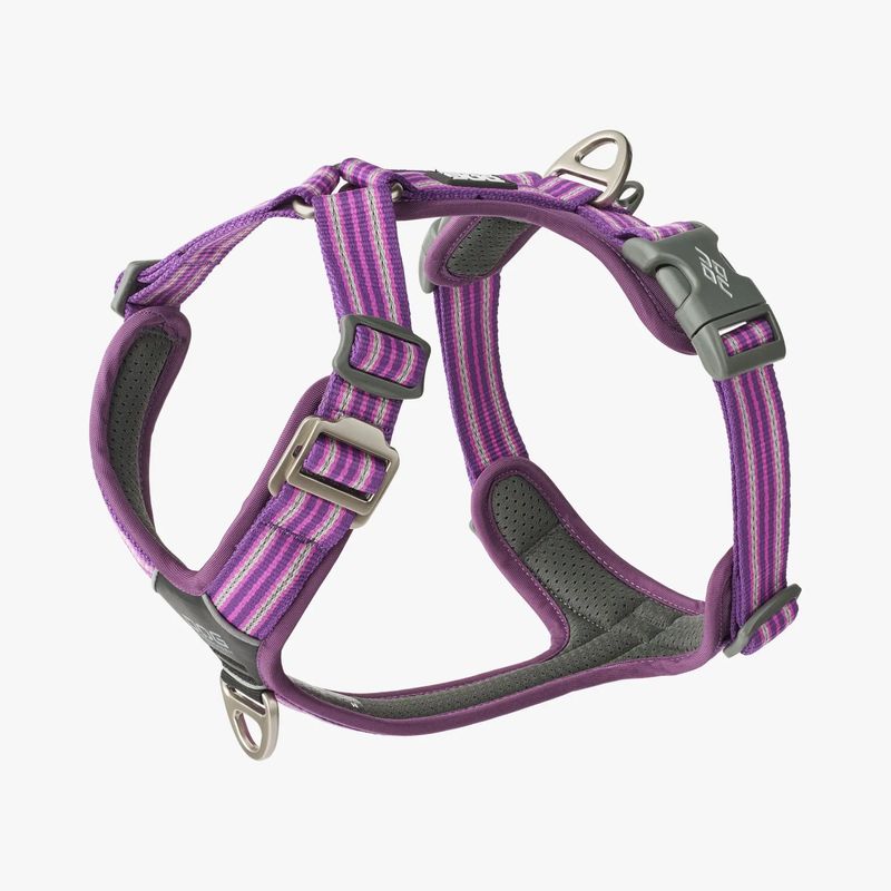 Dog Copenhagen Comfort walk air harnas - Paars