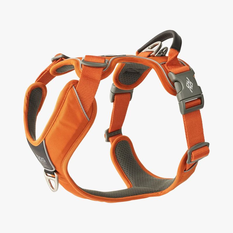 Dog Copenhagen comfort walk pro harnas - Oranje