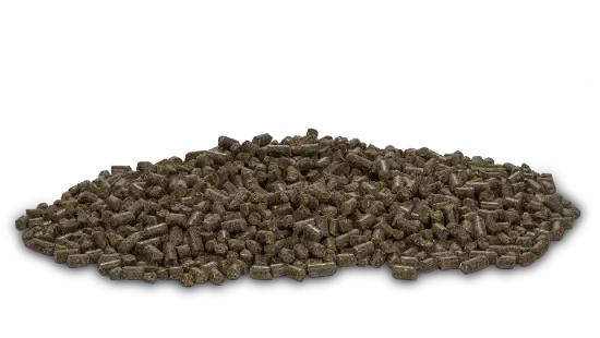 Darf Vol pup - 14 kg