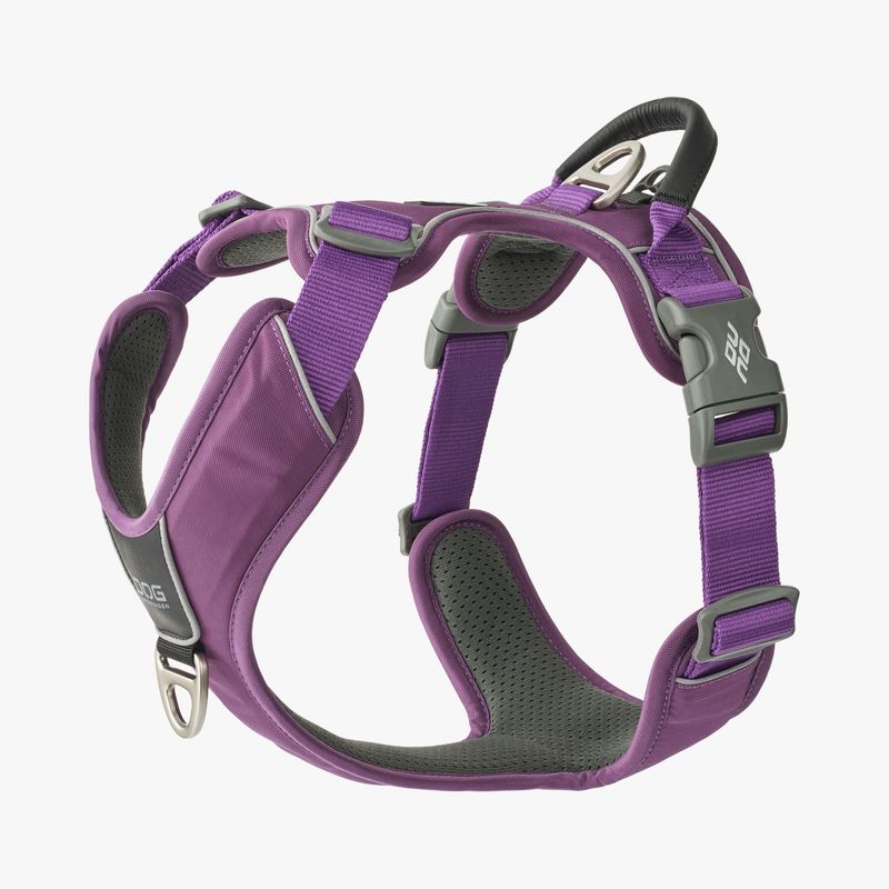 Dog Copenhagen comfort walk pro harnas - Paars