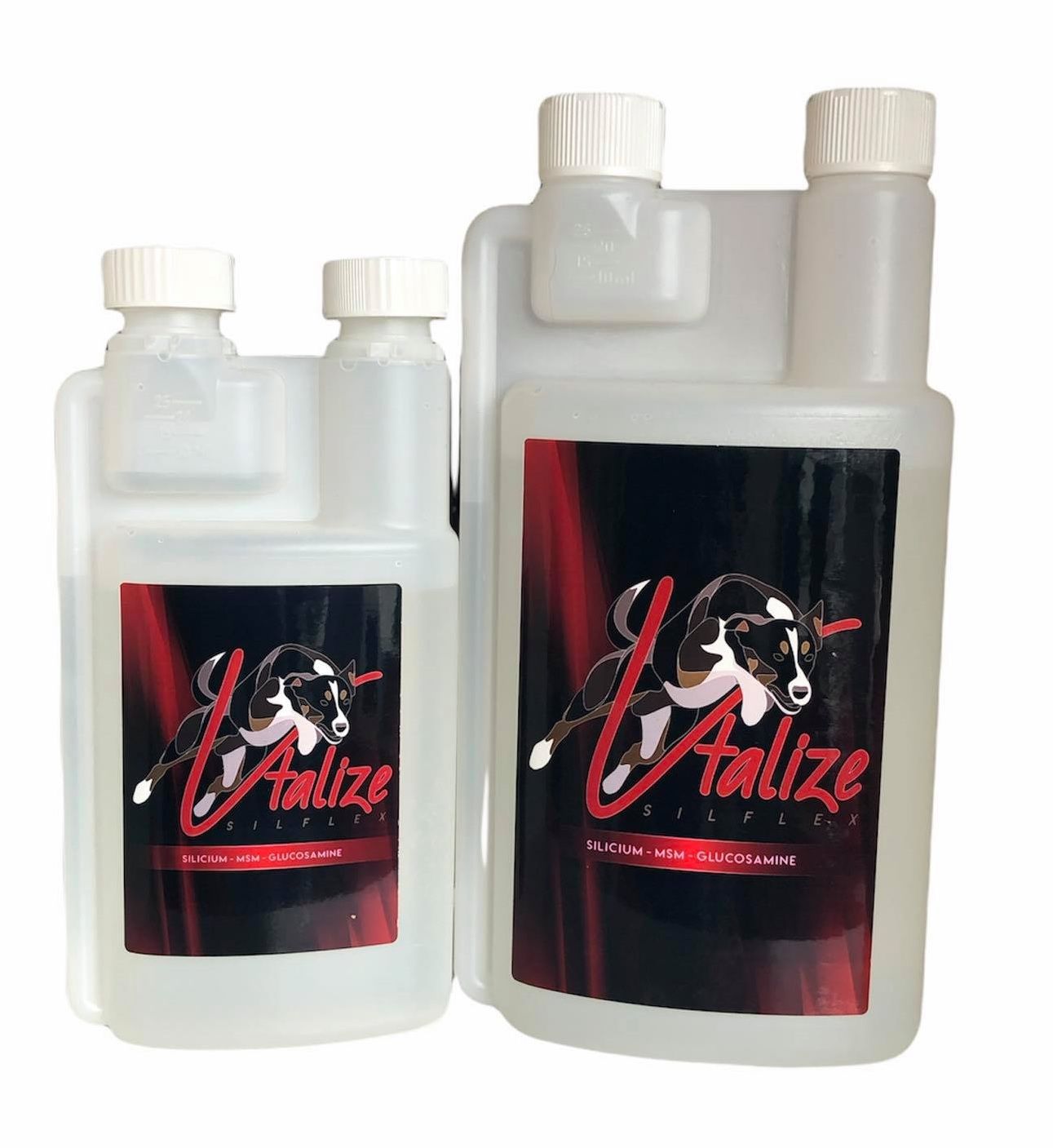 Vtalize Silflex 1000 ml