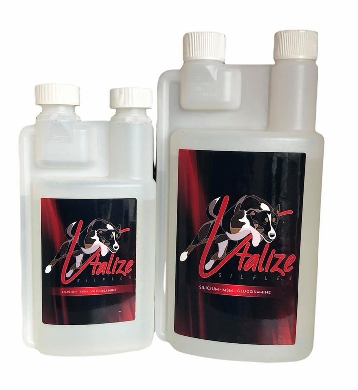 Vtalize Silflex 500 ml