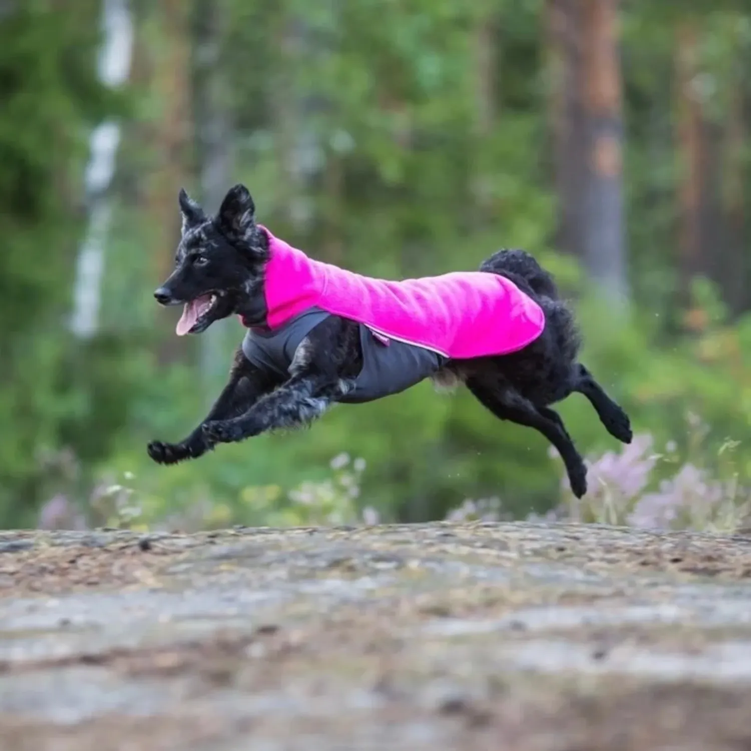 Pomppa Jumppa season colors  - Pink