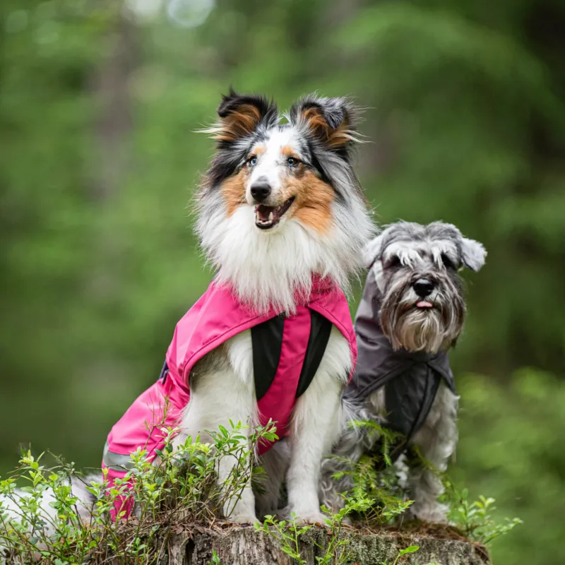 Pomppa Kuori (regenjas) - Fuchsia