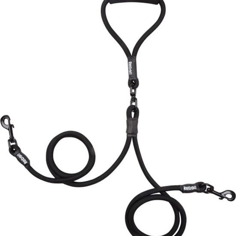 Adjustable Double Dog Leash