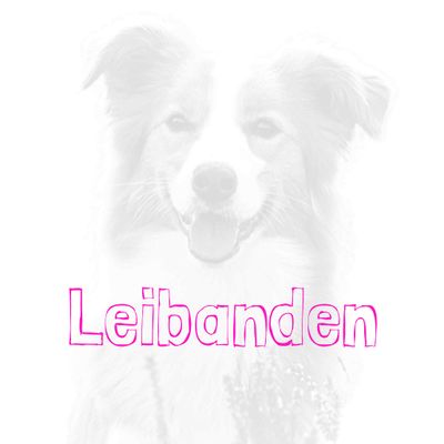 Leibanden
