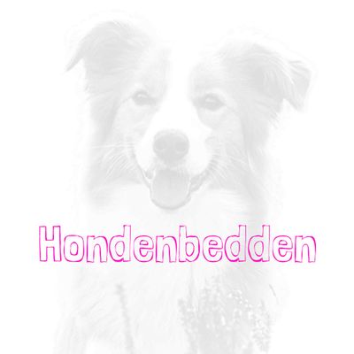 hondenbedden