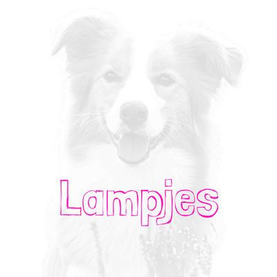 Lampjes