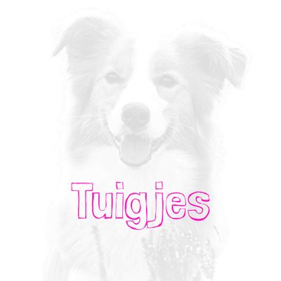 Tuigjes