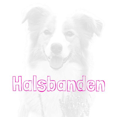 Halsbanden