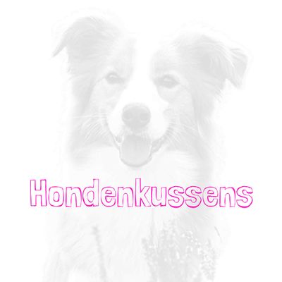 hondenkussens