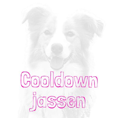 Cooldown jassen