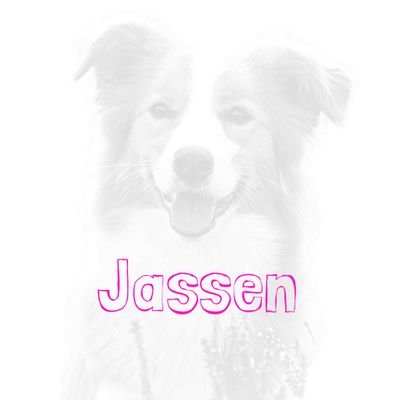 Jassen
