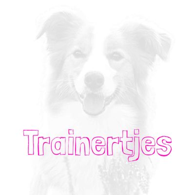 Trainertjes