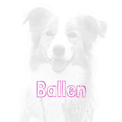 Ballen