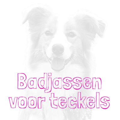 Badjassen voor Teckels