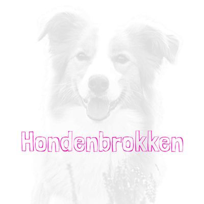 Hondenbrokken