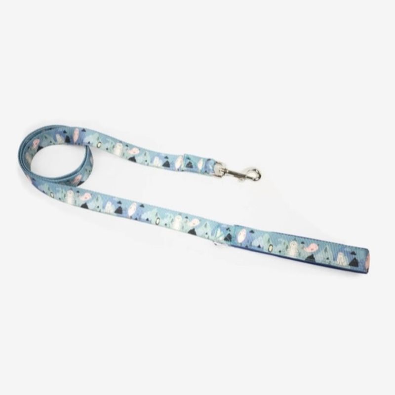 Leash arctic